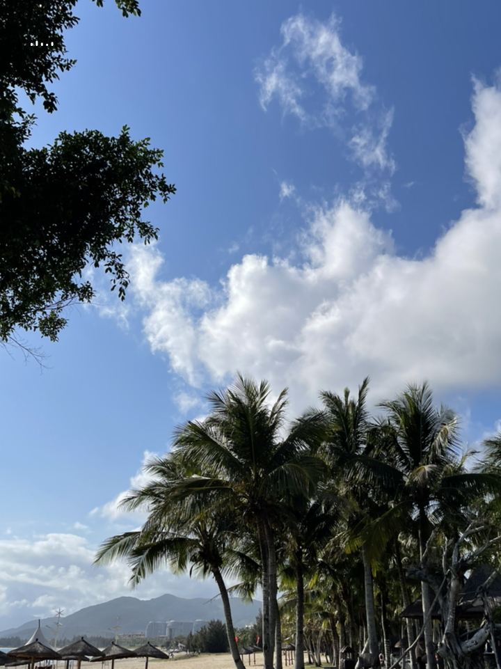 海南，阳光沙滩的度假胜地🌴🌊